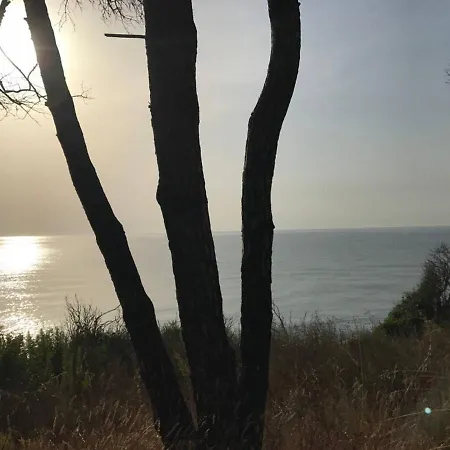 Marina Di Bravone Villa